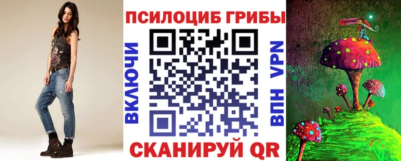 Псилоцибиновые грибы прущие грибы  наркошоп  Бердск 
